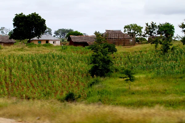 Typiska afrikanska hus — Stockfoto