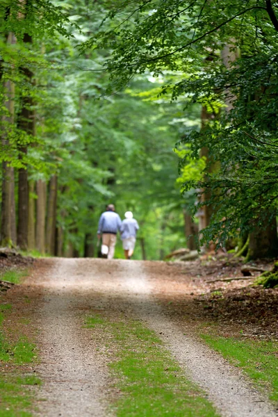 Casal de idosos caminhando na floresta — Fotografia de Stock