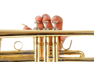 Close-up view of man's fingers as he plays trumpet clipart