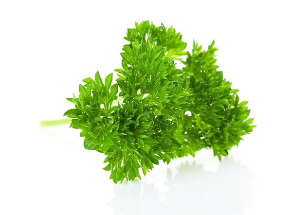 Twig of parsley — Stock Photo, Image