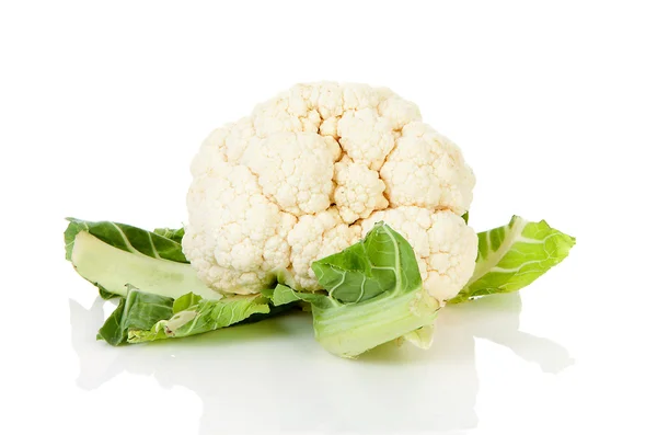 Fresh dutch Cauliflower — Stock Photo, Image