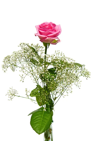 Beautiful pink rose with hypsum herb — стоковое фото