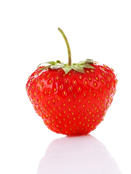 One fresh strawberry standing — Stock Photo, Image
