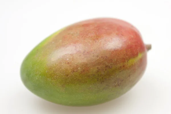 Tropisk mango Royaltyfria Stockfoton
