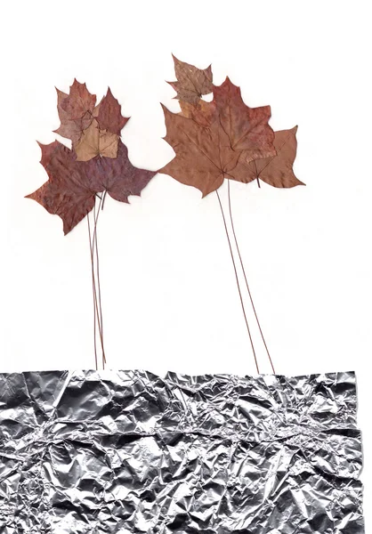 Autumn collage — Stock Photo, Image