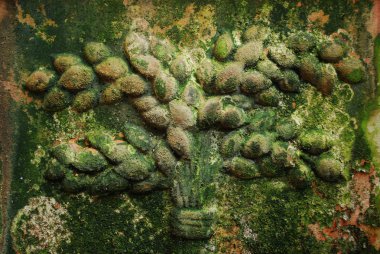 ayrıntı bahçede alınan eski bir seramik tencere