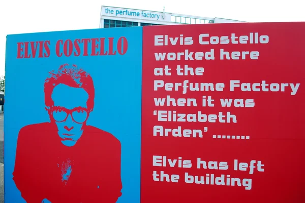 Elvis Costello — Stockfoto