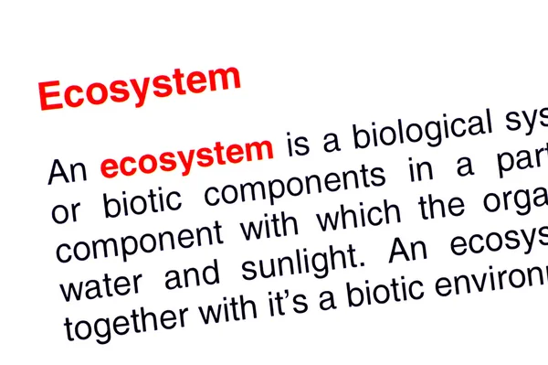 Ecosystem text highlighted in red — Stock Photo, Image