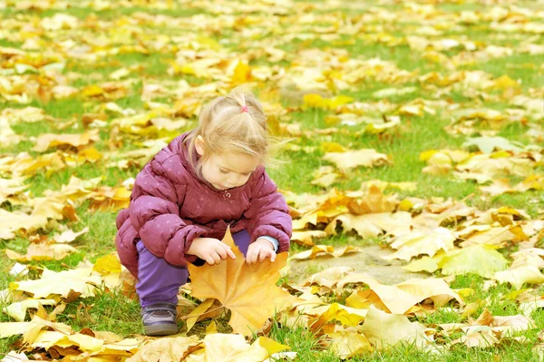 Toddler girl playing in autumn leaves — Stock Photo, Image