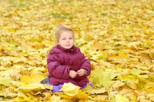 Toddler girl playing in autumn leaves Stock Image