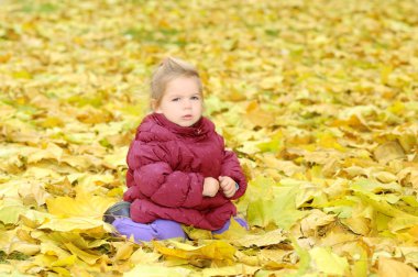 sonbahar yaprakları ile oynayan bebek kız