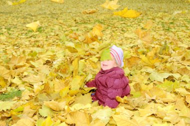 sonbahar yaprakları ile oynayan bebek kız