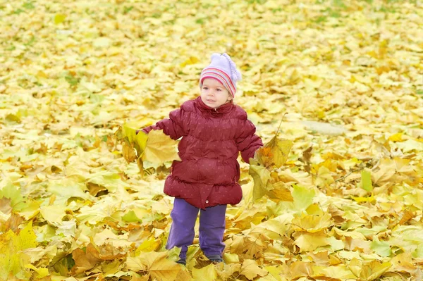 Toddler girl playing with autumn leaves — Stock Photo, Image