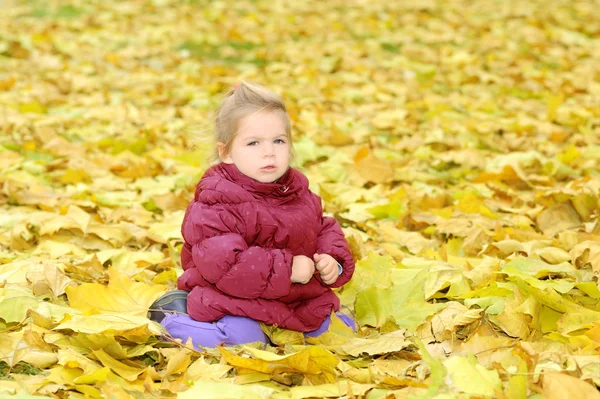 Toddler girl playing with autumn leaves Stock Photo