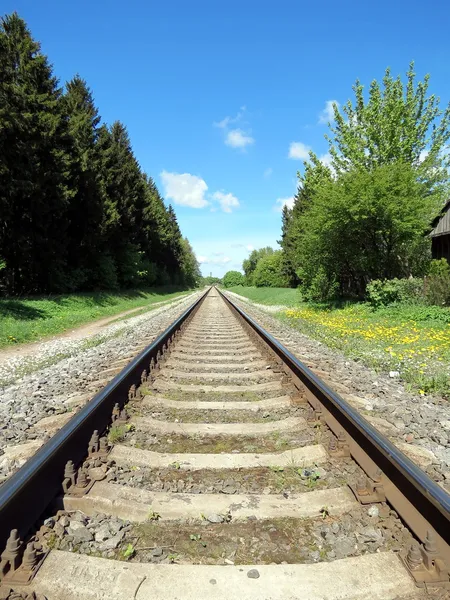 Железнодорожный поезд — стоковое фото