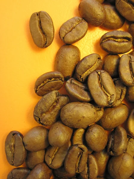 Kaffe bönor — Stockfoto