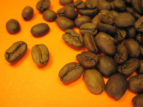 コーヒー豆 ストック画像