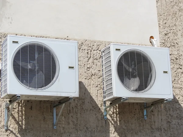 stock image Two fans