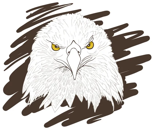독수리 머리 그림 — 스톡 사진