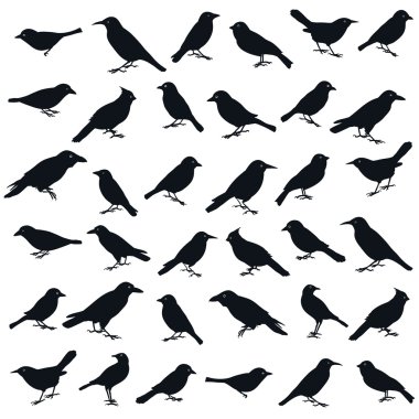 Bird shape. clipart