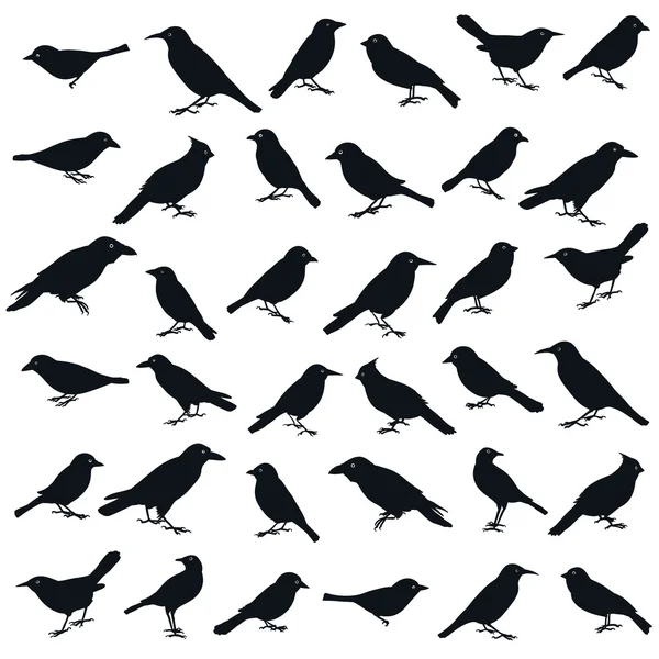 stock vector Bird shape.