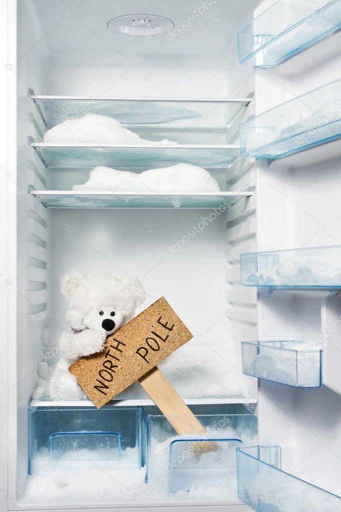 Polar bear in refrigerator with North Pole sign. Global warming