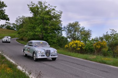 gubbio yakınındaki gri 1956 lancia aurelia b20