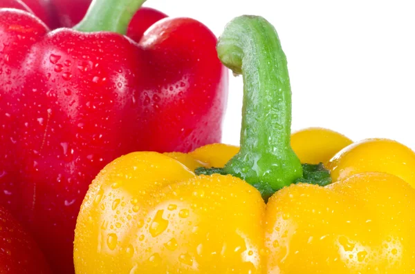 Fresh vegetables Stock Image