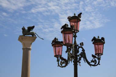 elektrik direği piazza San marco Venedik