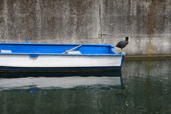 Barco no rio com galinha preta — Fotografia de Stock
