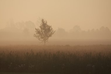 Veneto kırsal