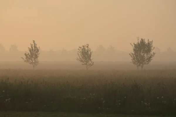 stock image Veneto countryside