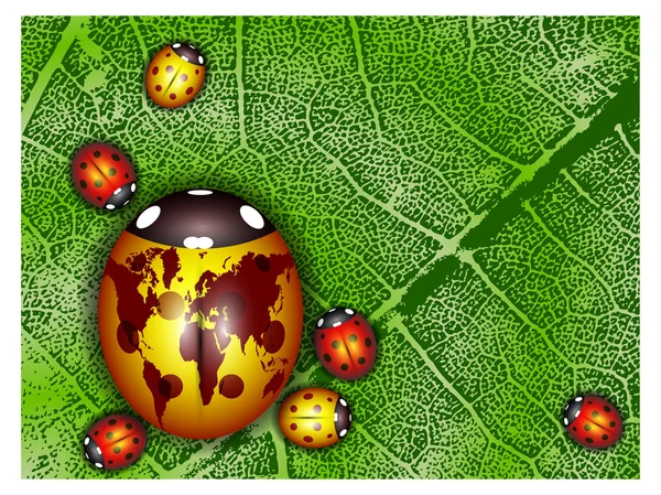 Ladybird with a world map on a green leaf — Stock Vector