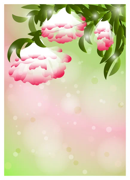 Fond de fleur romantique — Image vectorielle