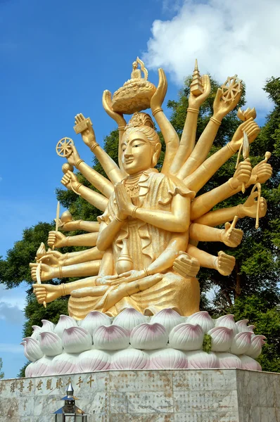 Buda multi armado 06 — Fotografia de Stock