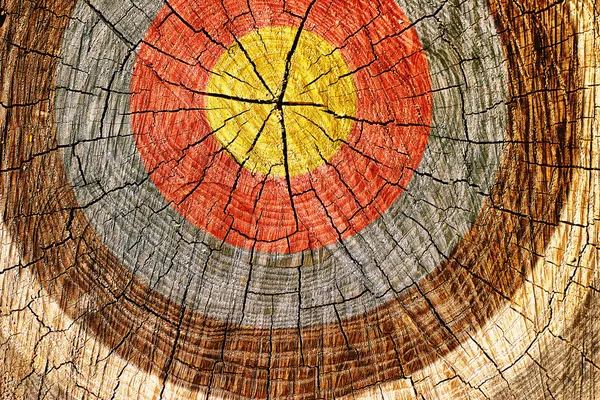 Target on tree — Stock Photo, Image