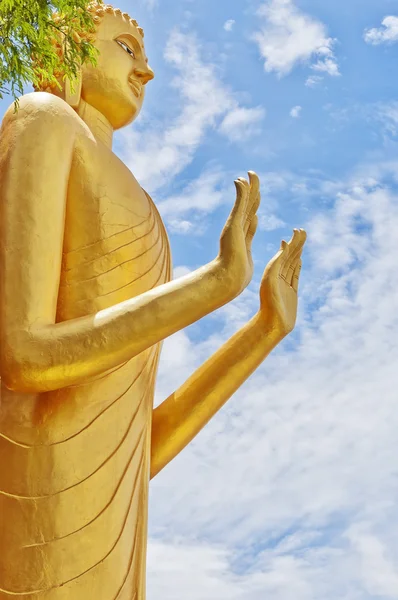 Buda de pé 10 — Fotografia de Stock