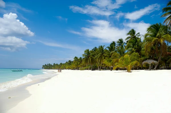 Tropikalnej plaży z palmami i biały piasek — Zdjęcie stockowe