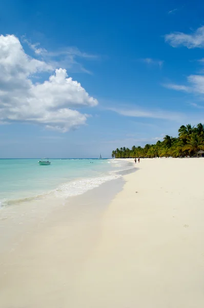 Trópusi tengerpart pálmafákkal és fehér homok — Stock Fotó