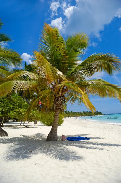 Tropikalnej plaży z palmami i biały piasek — Zdjęcie stockowe