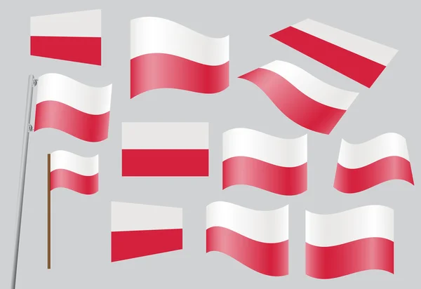 Under polsk flagg — Stock vektor