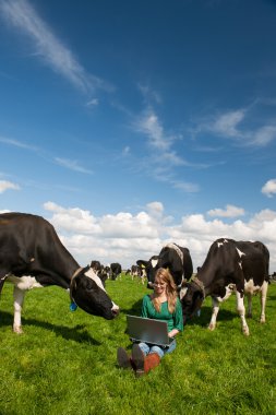 Dutch girl in field with cows clipart