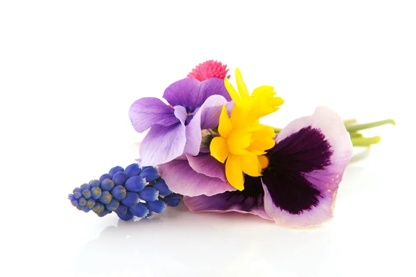 Bouquet garden flowers — Stock Photo, Image