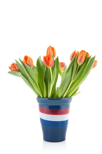 Flores holandesas —  Fotos de Stock