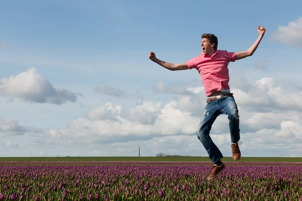Gelukkig Nederlandse tulpenvelden — Stockfoto