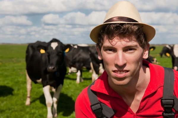 Фермер в поле с коровами — стоковое фото