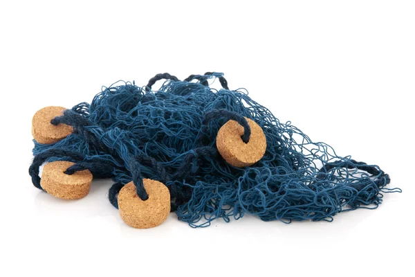 Голубая сеть — стоковое фото
