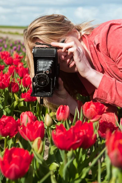 Ragazza bionda olandese con vecchia macchina fotografica in campo con tulipani — Foto Stock