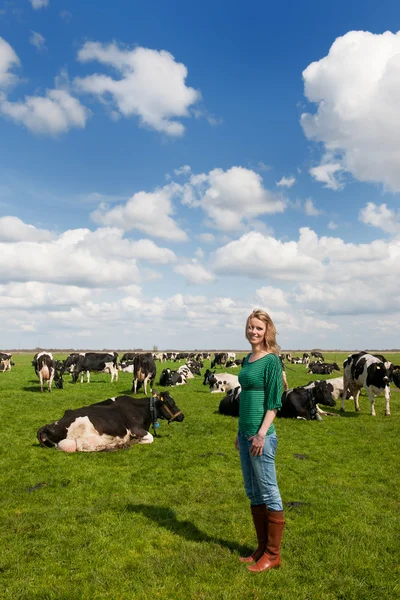 Holandská dívka v poli s krávy — Stock fotografie