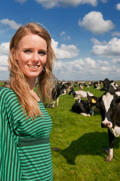 Holenderski dziewczyna w pole z krów — Zdjęcie stockowe